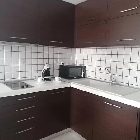 דירה Nikitihouse 2 ניקיטי